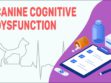 Canine Cognitive Dysfunction