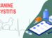 Canine Cystitis