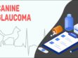 Canine Glaucoma