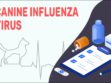 Canine Influenza Virus