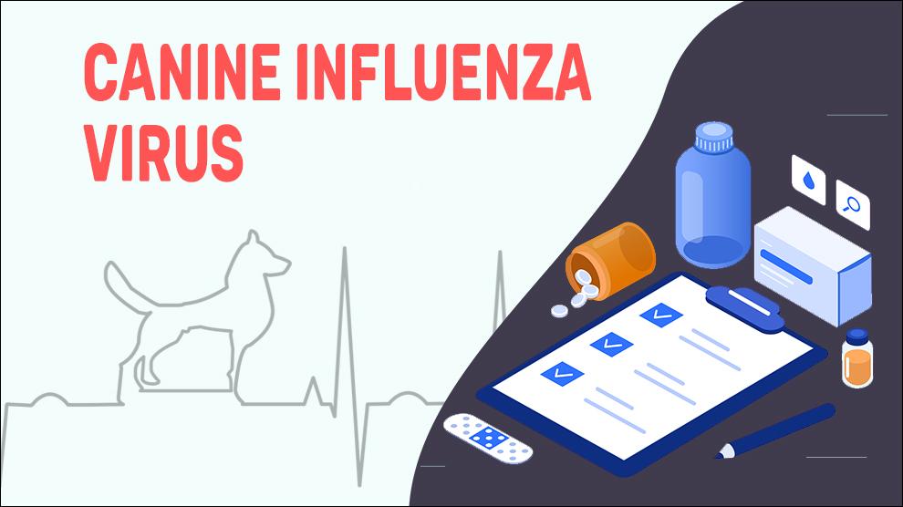 Canine Influenza Virus