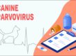 Canine Parvovirus