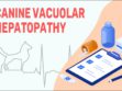 Canine Vacuolar Hepatopathy