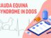 Cauda Equina Syndrome In Dogs