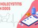 Cholecystitis In Dogs