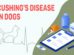 Cushing's Disease In Dogs