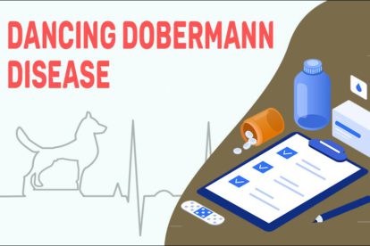 Dancing Dobermann Disease