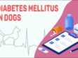 Diabetes Mellitus In Dogs
