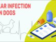 Ear Infection In Dogs