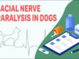 Facial Nerve Paralysis In Dogs