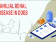 Familial Renal Disease In Dogs