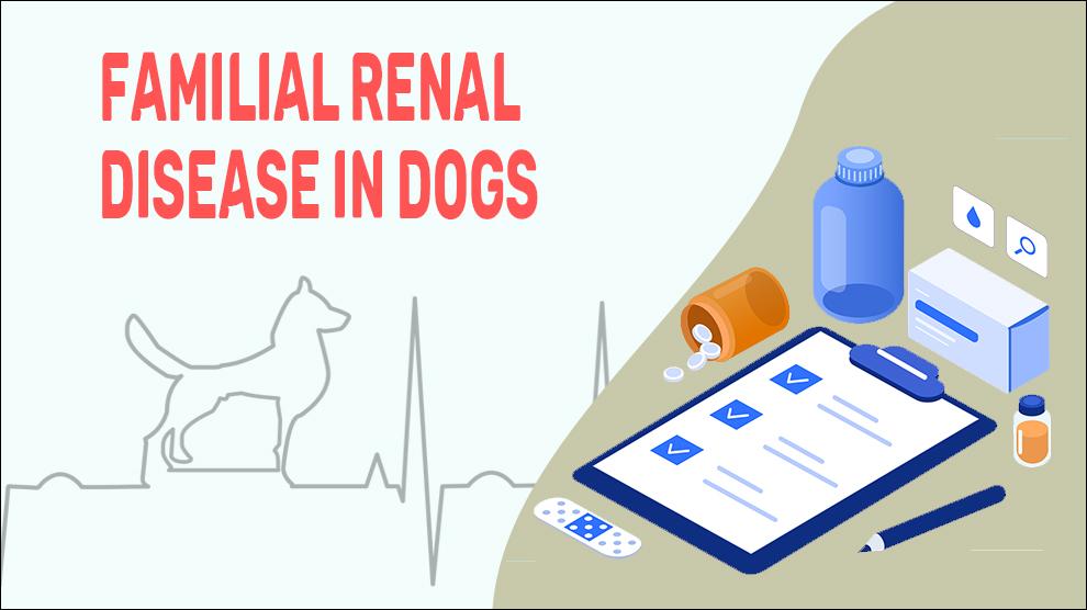 Familial Renal Disease In Dogs