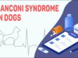 Fanconi Syndrome In Dogs