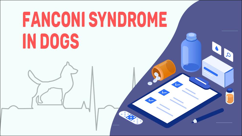 Fanconi Syndrome In Dogs