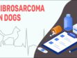 Fibrosarcoma In Dogs