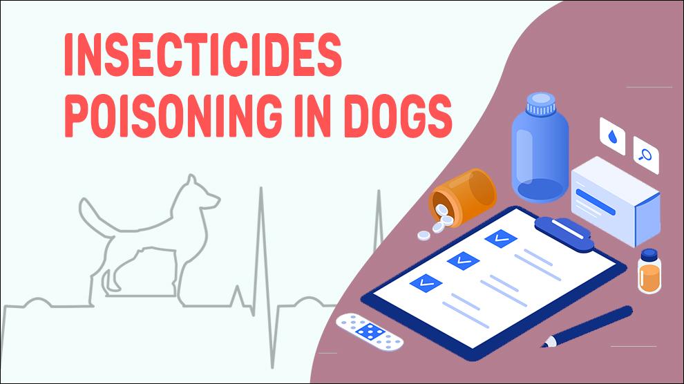 Insecticides Poisoning In Dogs