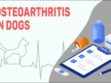 Osteoarthritis In Dogs