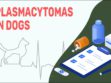 Plasmacytomas In Dogs