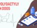 Polydactyly In Dogs