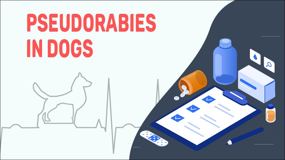 Pseudorabies In Dogs