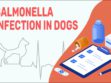 Salmonella Infection In Dogs