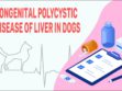 Congenital Polycystic Disease Of Liver In Dogs