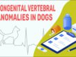 Congenital Vertebral Anomalies In Dogs