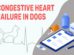Congestive Heart Failure In Dogs