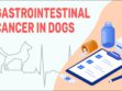 Gastrointestinal Cancer In Dogs