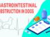 Gastrointestinal Obstruction In Dogs