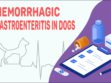 Hemorrhagic Gastroenteritis In Dogs