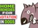Home Remedies For Agitation In Dogs