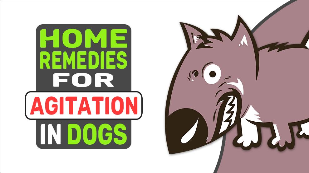 Home Remedies For Agitation In Dogs