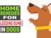 Home Remedies For Bleeding Gums In Dogs