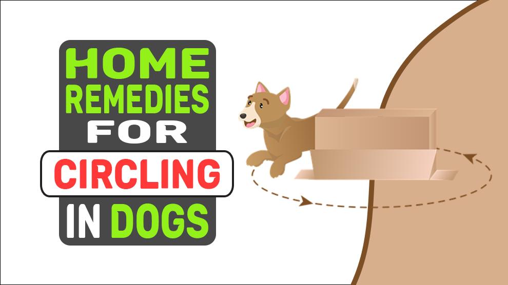 Home Remedies For Circling In Dogs