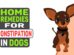 Home Remedies For Constipation In Dogs