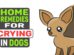 Home Remedies For Crying In Dogs