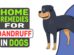 Home Remedies For Dandruff In Dogs