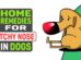 Home Remedies For Itchy Nose In Dogs
