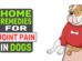 Home Remedies For Joint Pain In Dogs