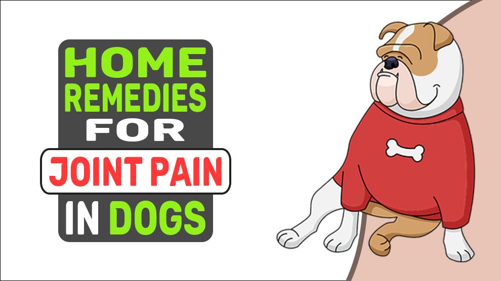 Home Remedies For Joint Pain In Dogs