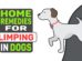Home Remedies For Limping In Dogs