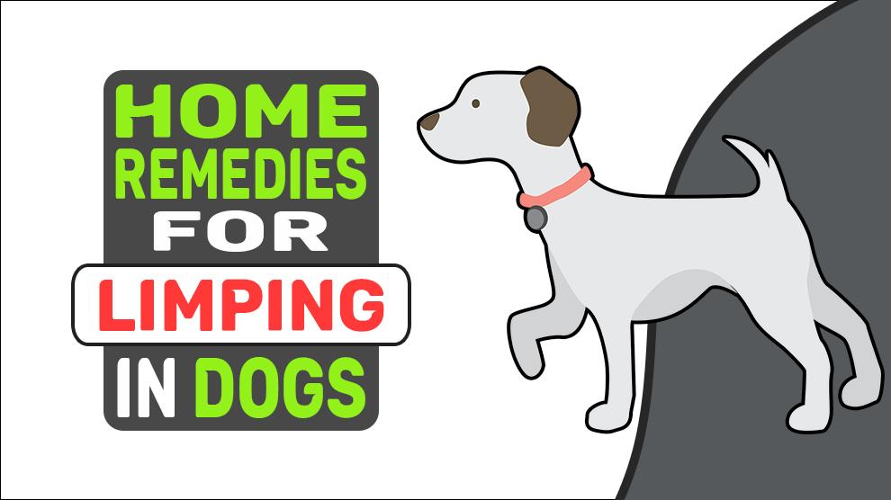 Home Remedies For Limping In Dogs