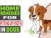 Home Remedies For Spitting Up Froth In Dogs