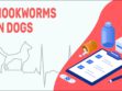 Hookworms In Dogs