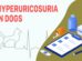 Hyperuricosuria In Dogs