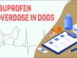 Ibuprofen Overdose In Dogs