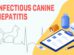 Infectious Canine Hepatitis