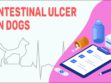 Intestinal Ulcer In Dogs