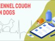 Kennel Cough In Dogs